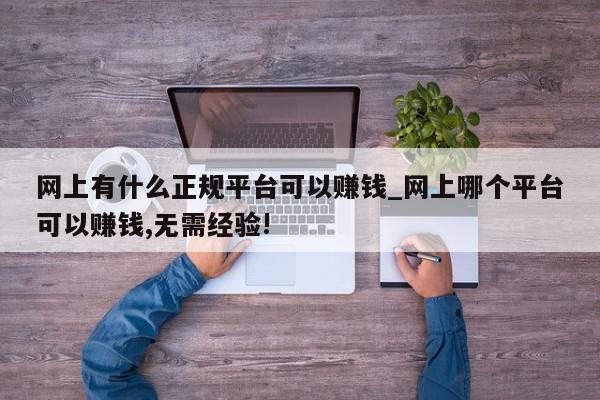 网上有什么正规平台可以赚钱_网上哪个平台可以赚钱,无需经验!