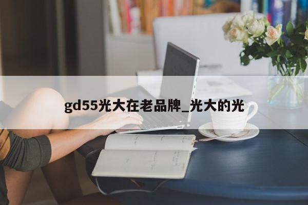 gd55光大在老品牌_光大的光